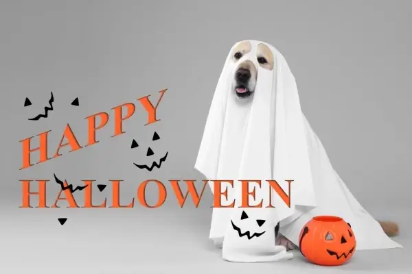 Happy Halloween from Family First Financial Services, LLC.